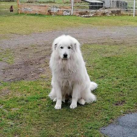 Aux D'estaing Croises, De Montagne Accessible A Tous Vakantiehuis