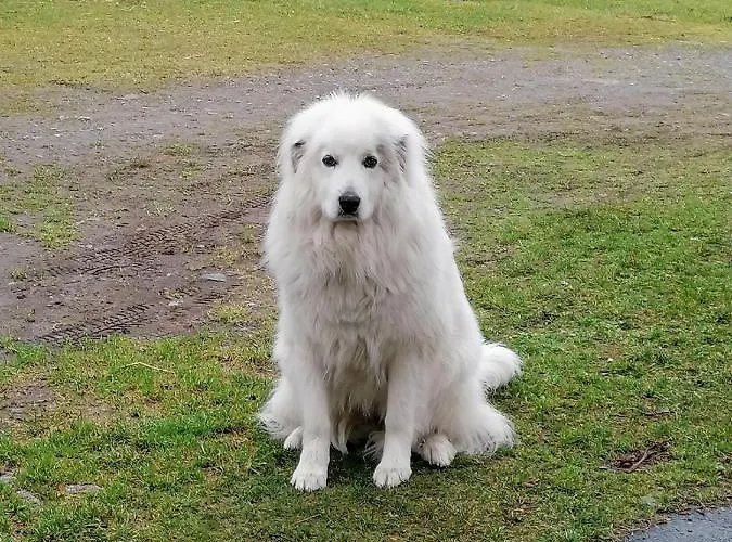 Aux D'estaing Croises, De Montagne Accessible A Tous Prázdninový dům